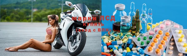 стаф Алексин