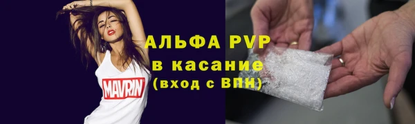 стаф Алексин