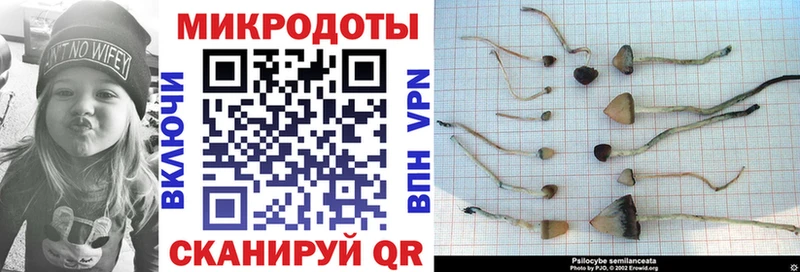 купить  сайты  Добрянка  Галлюциногенные грибы Magic Shrooms 