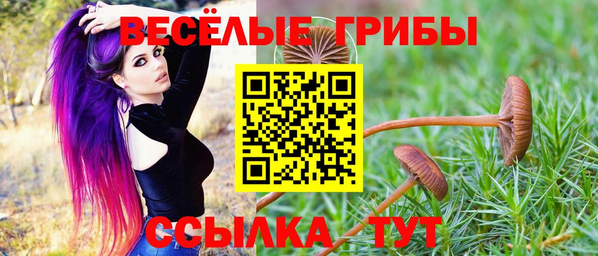Добрянка  сколько стоит  Вход с VPN  Псилоцибиновые грибы GOLDEN TEACHER  Псилоцибиновые грибы Magic Shrooms 